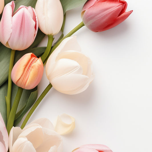 Inspired by Lenor - Mrs Hinch Wax Melts (Tulips & White Jasmine)