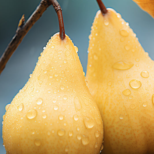 Perfect Pear Wax Melts (Pear & Freesia)