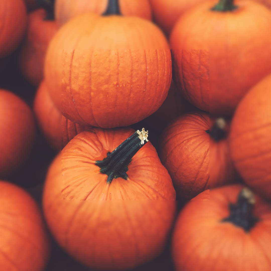 Sweet Pumpkin Wax Melts (Pumpkin, Vanilla & Cinnamon)