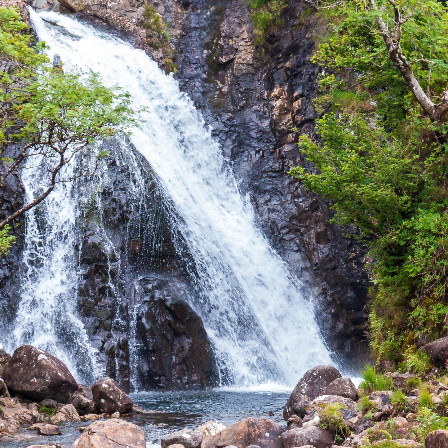 Highland Waterfall (Eucalyptus, Mint & Geranium) SALE